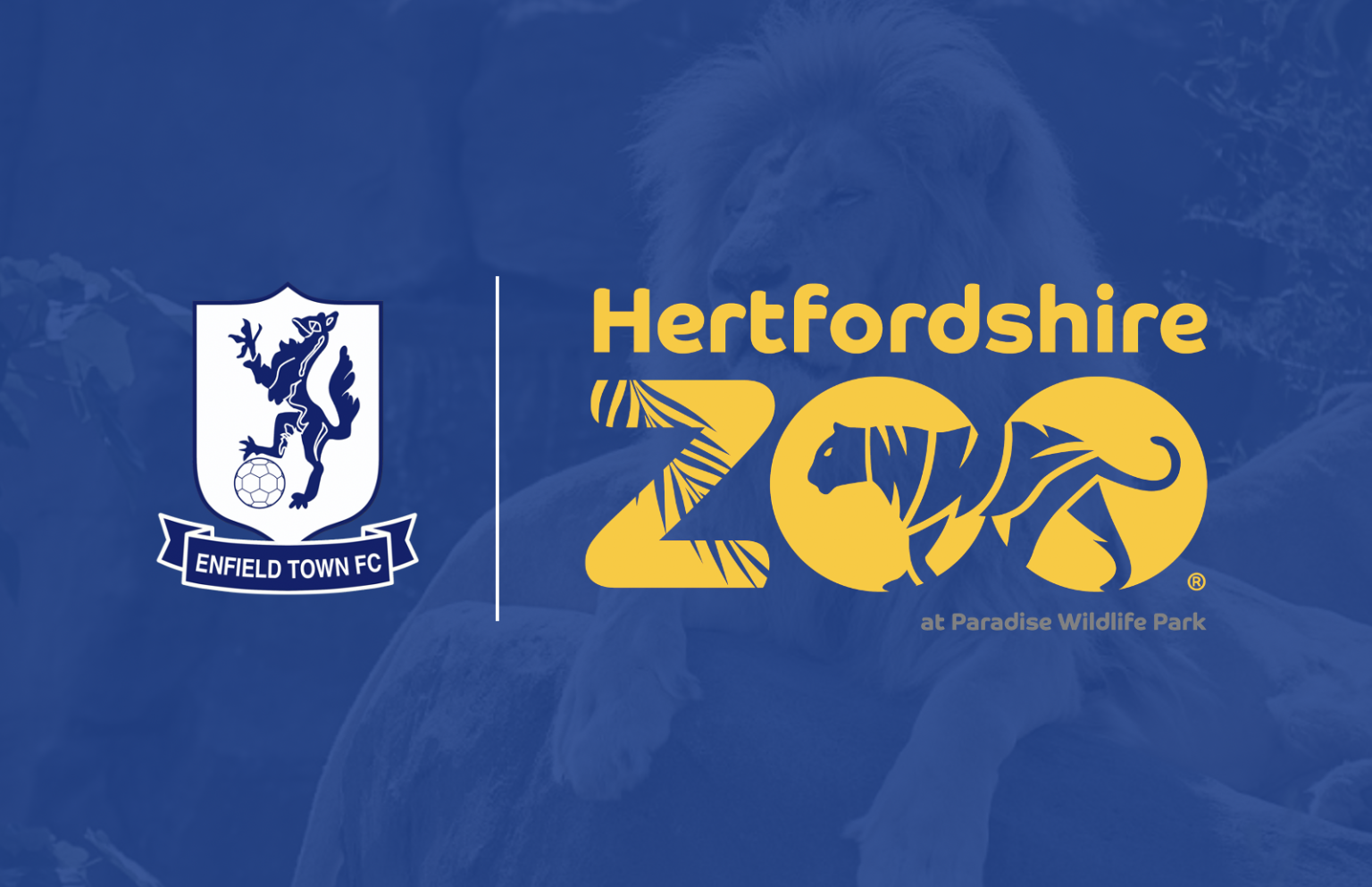 Hertfordshire Zoo Enfield Town FC