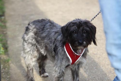 Lola, who was attending her first football match