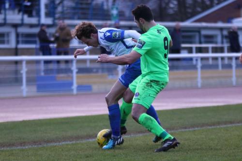 Dorkings Giuseppe Sole (green) and Enfields Mickey Parcell68