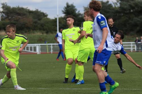 Enfields Sam Youngs shootsx