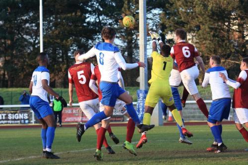 Bognors Keaton Wood (6) heads clear