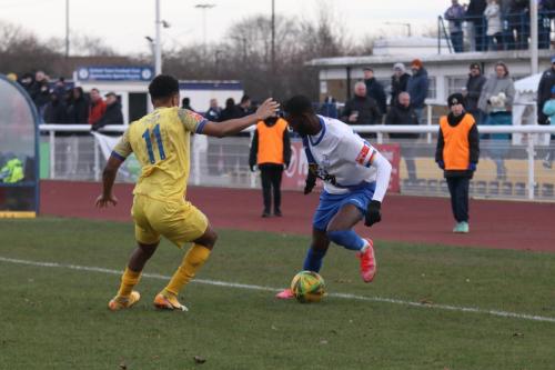 IMG 2551-Johnville-Renee-L-and-Muhammadu-Faal