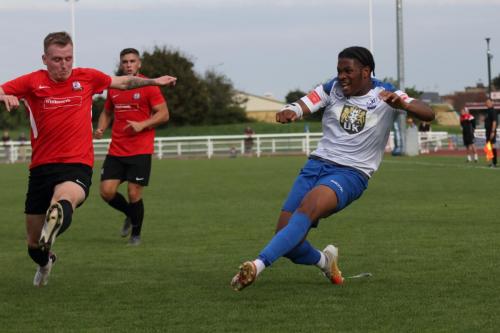 IMG 4730-Manny-Maja-crosses