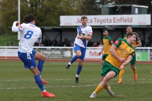 IMG 5205-Sam-Youngs-shoots