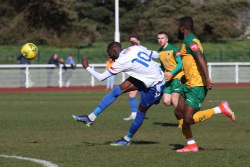 IMG 5367-Muhammadu-Faal-shoots