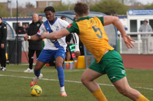 IMG 5571-Manny-Maja-L-and-Charlie-Hester-Cook