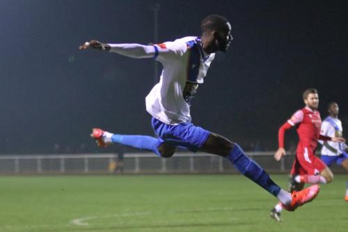 IMG 8107-Muhammadu-Faal-shoots