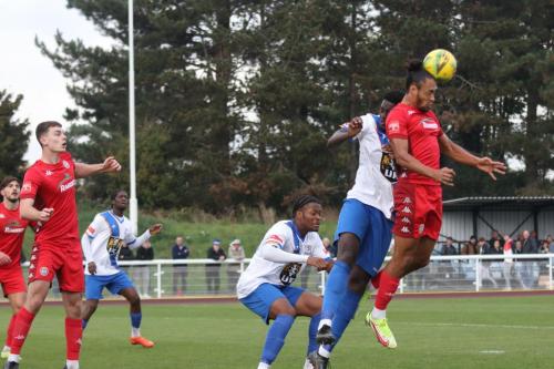 IMG 6092-Worthings-Dayshonne-Golding-R-heads-clear-from-Jerry-Gyebi