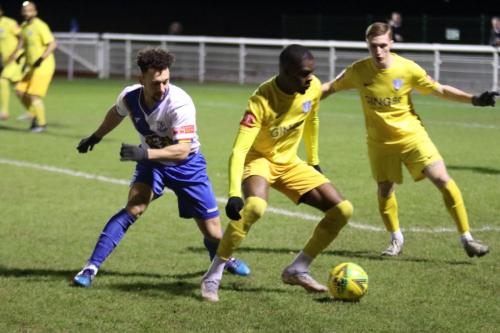 IMG 1712-L-R-Lyle-Della-Verde-Osaretin-Otete-and-Harvey-Browne