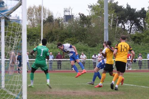 IMG 6037-Sam-Youngs-just-fails-to-reach-a-cross