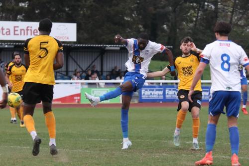 IMG 6122-Muhammadu-Faal-shoots