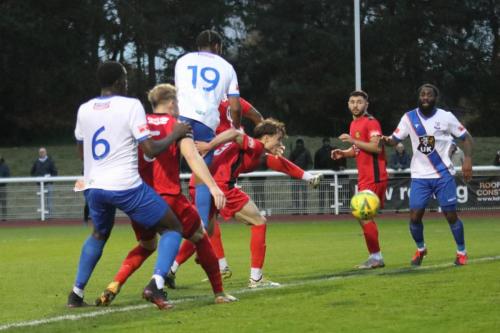 IMG 7886-Enfields-Manny-Maja-19-heads-wide