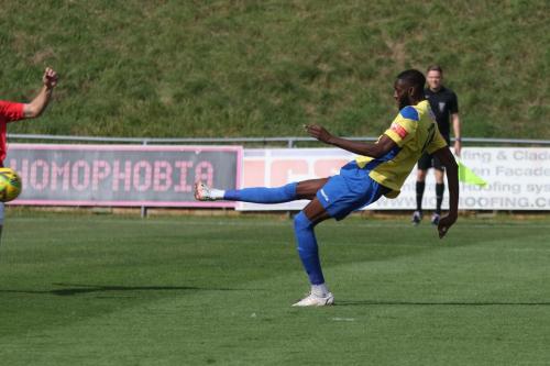 IMG 4146-Muhammadu-Faal-shoots