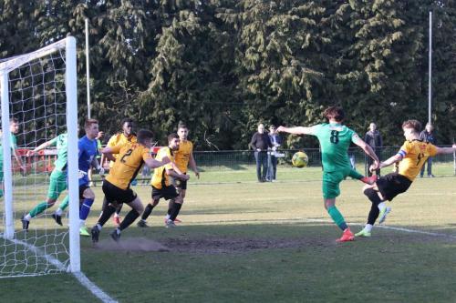 IMG 5020-Sam-Youngs-shoots