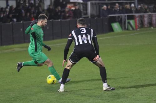 IMG 8398-Enfields-Lyle-Della-Verde-green-and-Hanwells-Edon-Pruti