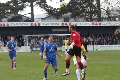 IMG 9197-Stortford-keeper-Jack-Giddens-heads-clear