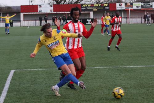 IMG 3039-Sam-Youngs-L-and-Dexter-Peter