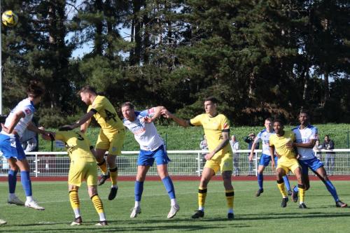 IMG 8953-Cheshams-Steve-Brown-heads-clear