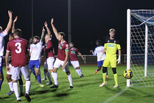 IMG 9241-Almost-everyone-appeals-as-the-ball-runs-out-of-play