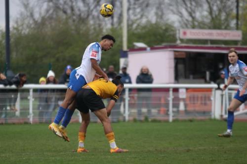 IMG 7746-Johnville-Renee-L-and-Dajon-Golding