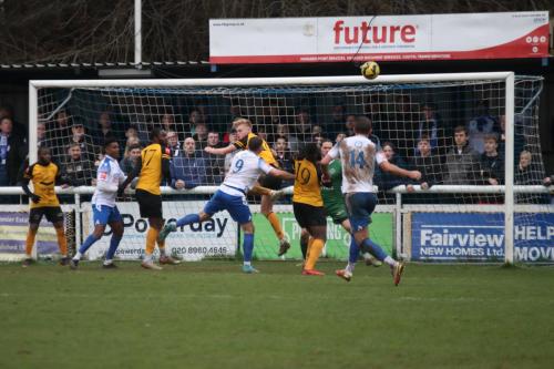 IMG 7995-Crays-Freddie-Carter-fair-hair-heads-clear