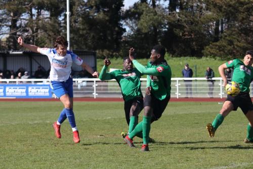 IMG 8626-Sam-Youngs-shoots