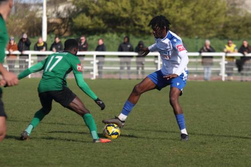 IMG 8867-Bobson-Bawling-L-and-Andre-Coker