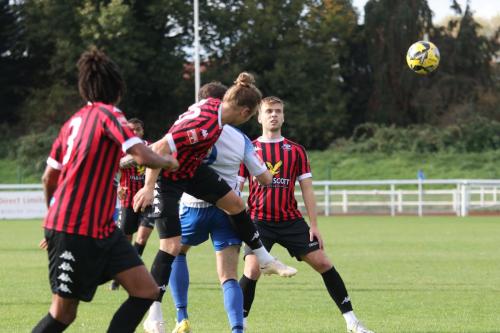 IMG 9439-Lewes-Will-Salmon-heads-clear