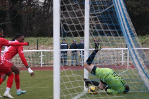 IMG 3445-Carshalton-keeper-Danny-Bracken-cant-stop-Andre-Cokers-first-minute-goal