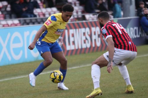 IMG 6216-Johnville-Renee-L-and-Deon-Moore