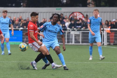 IMG 3182-Jordy-Robins-L-and-Emmanuel-Harvest