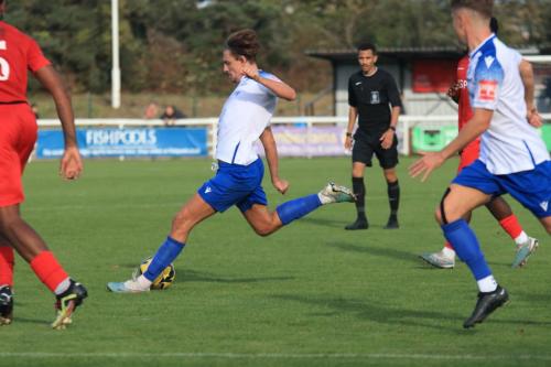 IMG 2041-Sam-Youngs-shoots