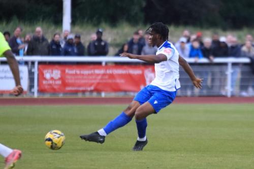 IMG 2709-Emmanuel-Harvest-shoots