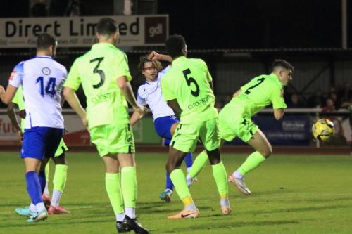 IMG 2802-Sam-Youngs-shoots