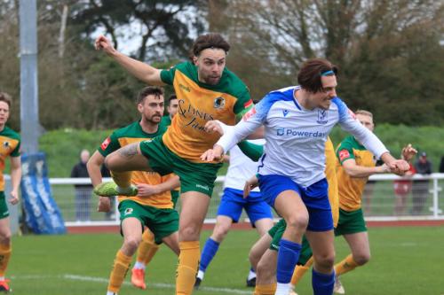 IMG 9923-Horshams-Lee-Harding-heads-clear-from-Sam-Youngs