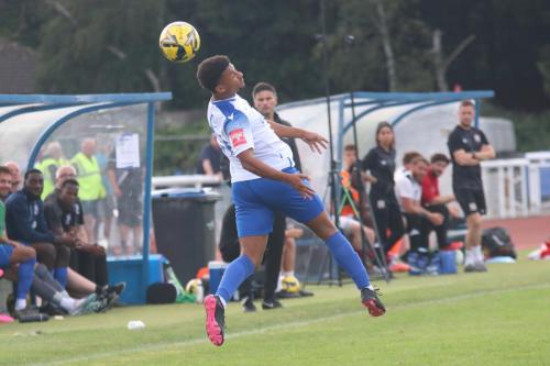 IMG 0899-Dylan-Adjei-Hersey