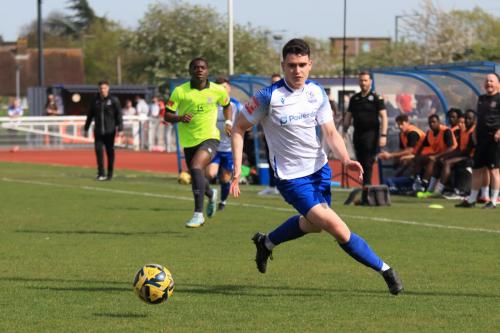 IMG 1954-Marcus-Wyllie