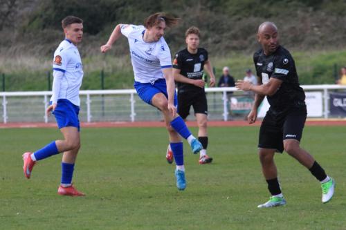 IMG 9386-Sam-Youngs-shoots