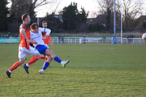 IMG 8069-Sam-Youngs-shoots