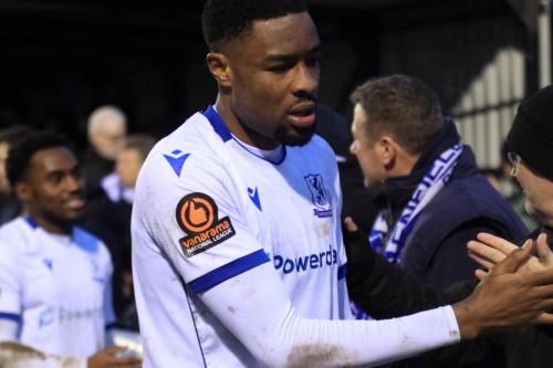 IMG 7098-Bayley-Brown