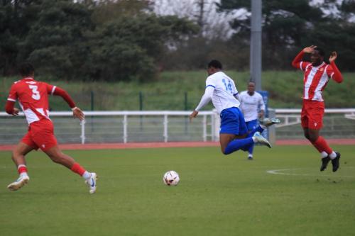 IMG 5457-L-r-Giles-Phillips-Ruben-Shakpoke-and-Emmanuel-Harvest