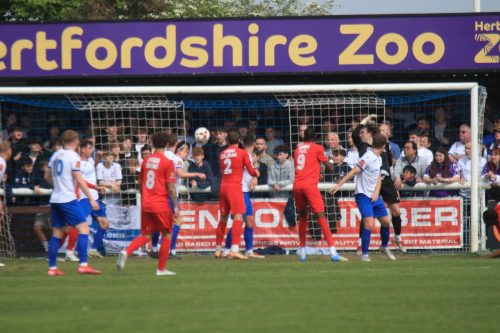 IMG 9912-Worthing-find-the-net-but-the-goal-is-ruled-out-for-a-push