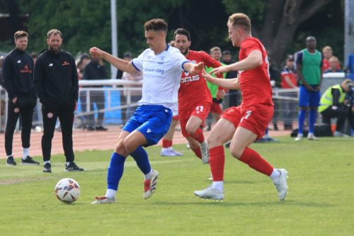 IMG 9984-L-r-Harry-Sidwell-Nick-Wheeler-and-Chris-Packham