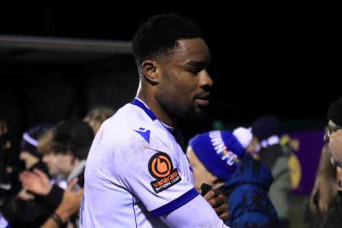 IMG 6530-Bayley-Brown