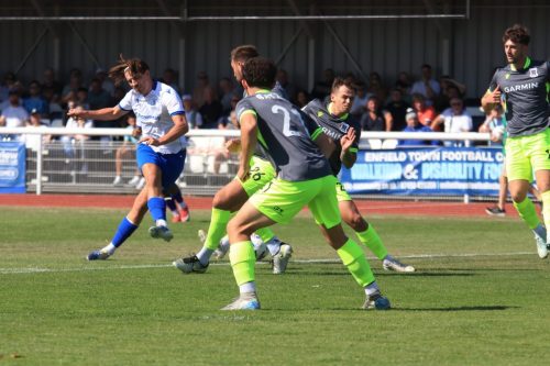 IMG 0682-Sam-Youngs-shoots