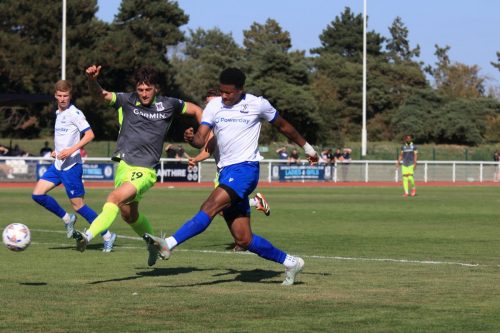 IMG 0839-Harry-Lodovica-shoots