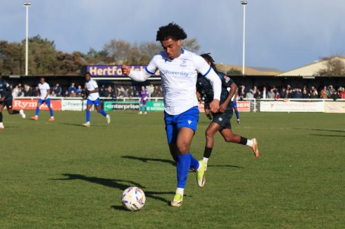 IMG 4565-Nino-Adom-Malaki