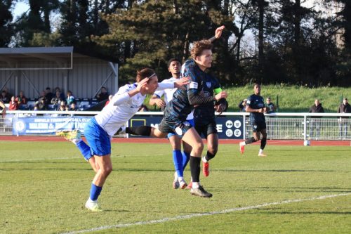 IMG 4686-Sam-Youngs-L-and-Will-Lannin-Sweet