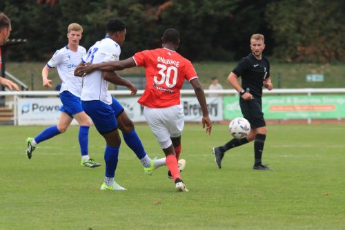 IMG 0399-Harry-Lodovica-L-and-Many-Onariase