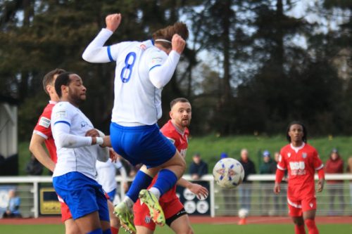 IMG 4024-Sam-Youngs-8-heads-into-the-ground